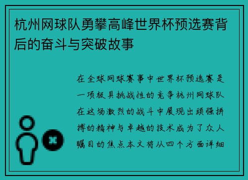 杭州网球队勇攀高峰世界杯预选赛背后的奋斗与突破故事